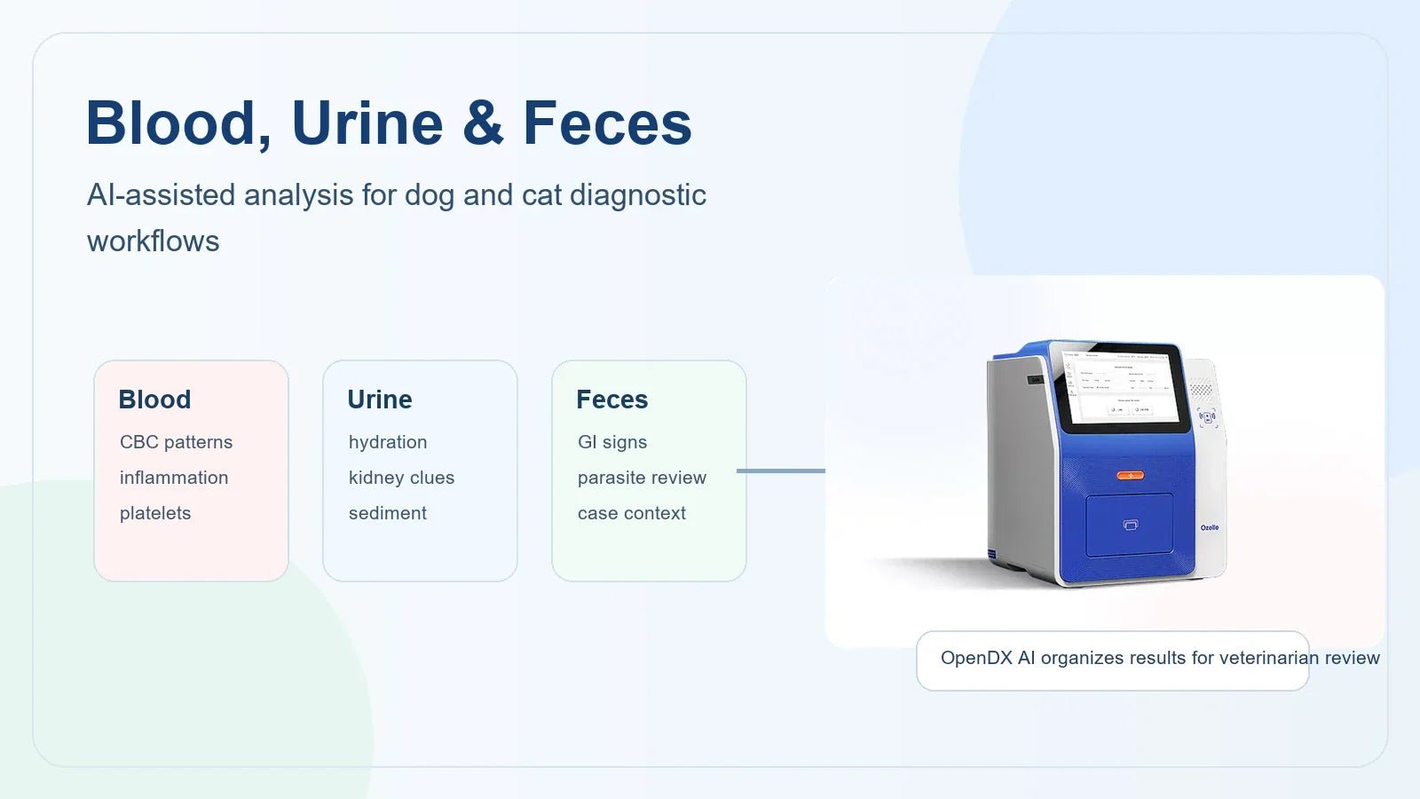 AI Blood, Urine, and Feces Analysis for Dogs and Cats: A Practical Veterinary Workflow