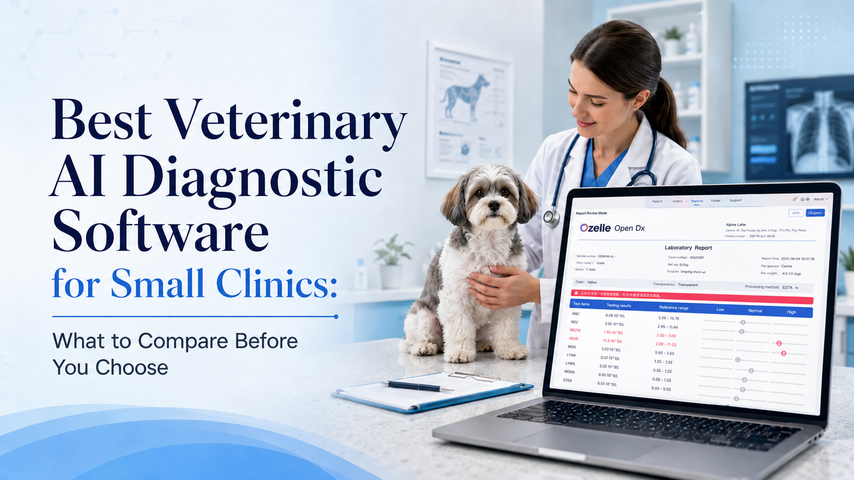 Veterinarian using OpenDx AI diagnostic software to review a canine laboratory report in a small veterinary clinic